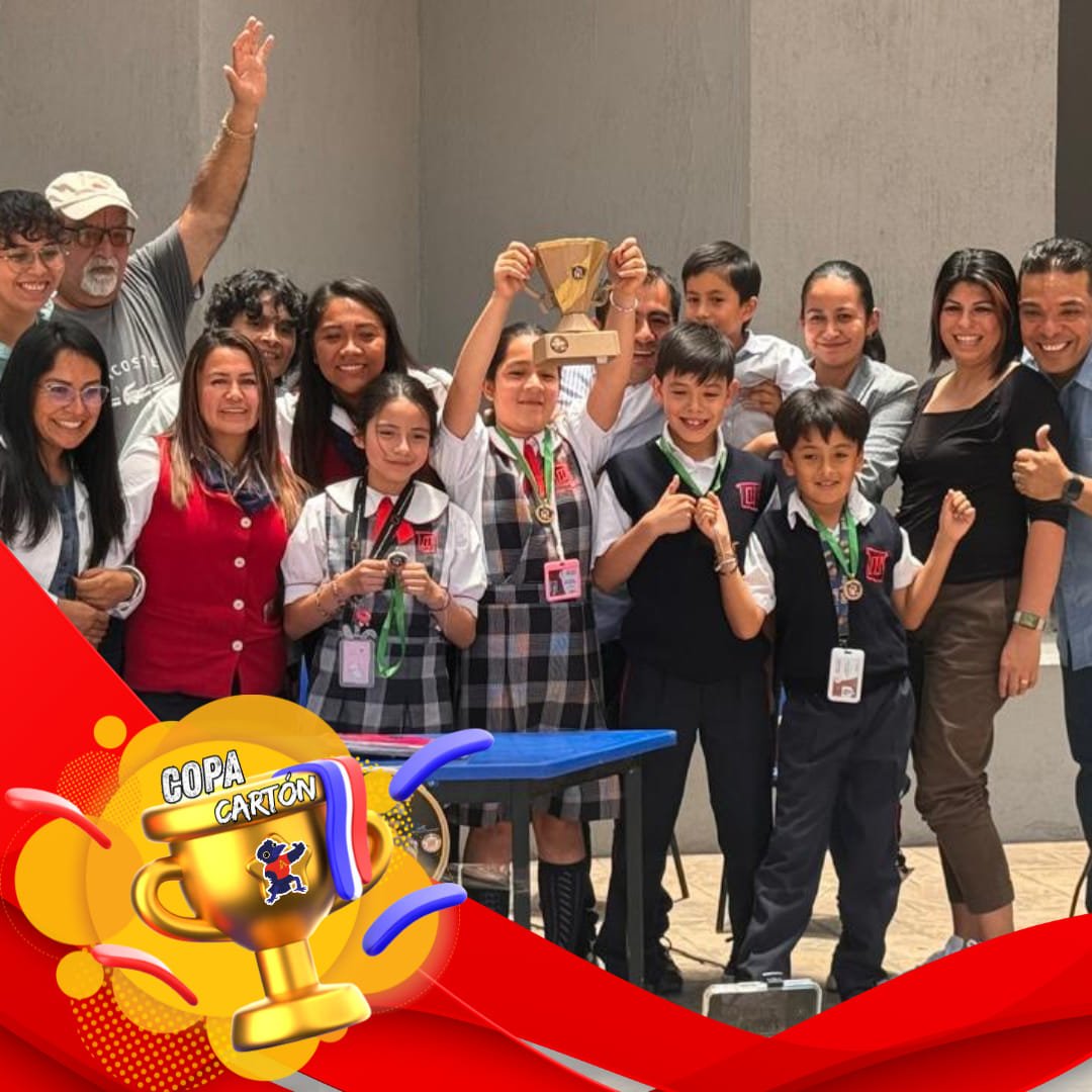 493533896 1235681111896682 7487218811820797254 N